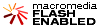 Download Flash Player